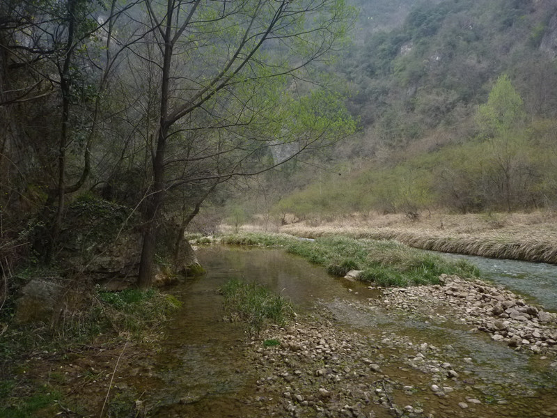 p1110122_.jpg