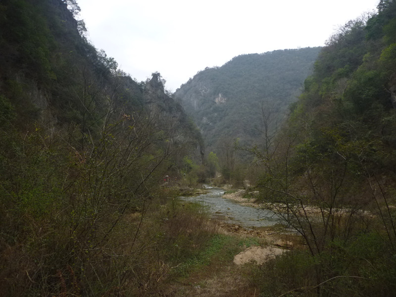 p1110120_.jpg