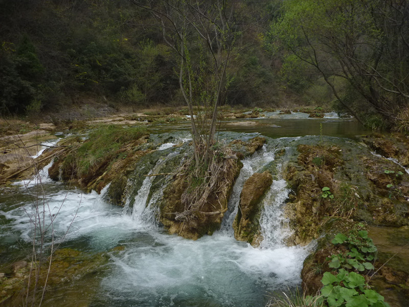 p1110123_.jpg