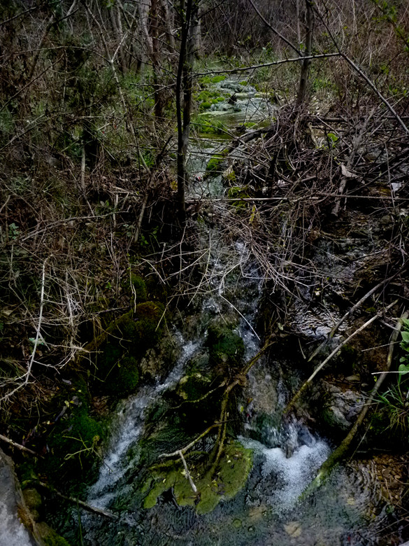 p1110127_.jpg
