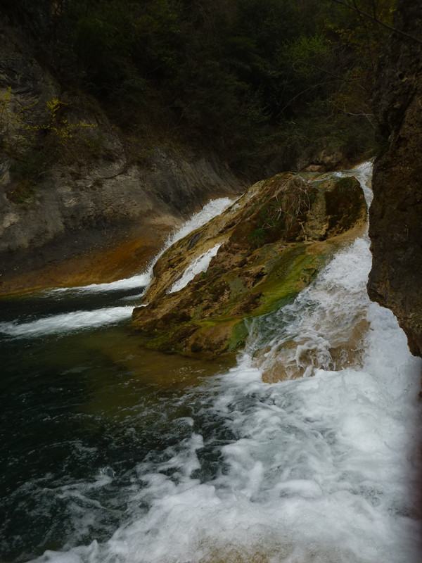 p1110132_.jpg