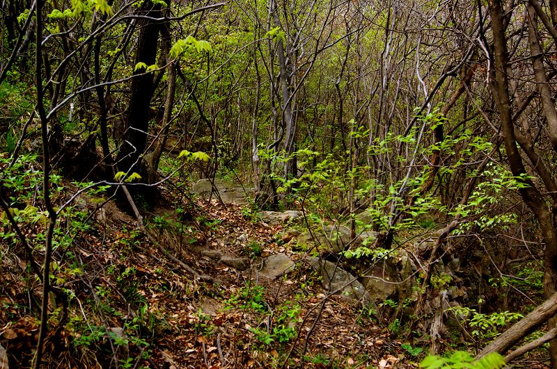 dsc08466.jpg
