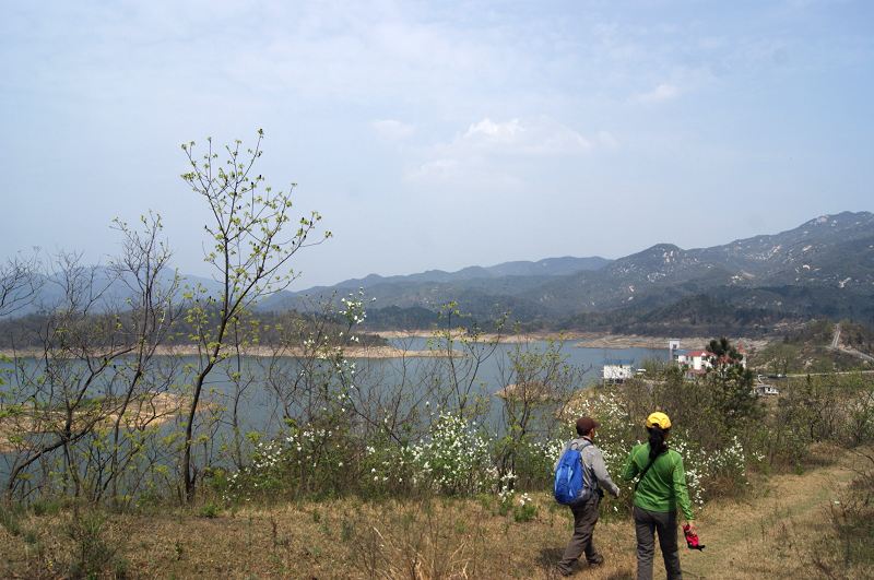 dsc08533.jpg