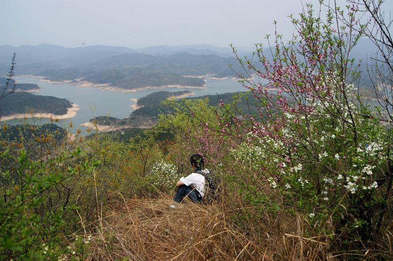 dsc08530.jpg