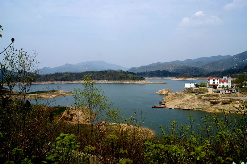 dsc08535.jpg