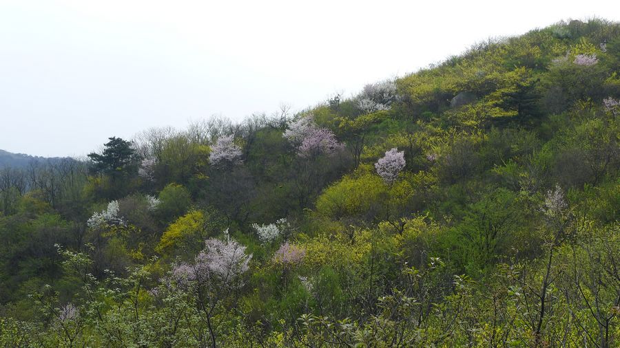 p1210743.jpg