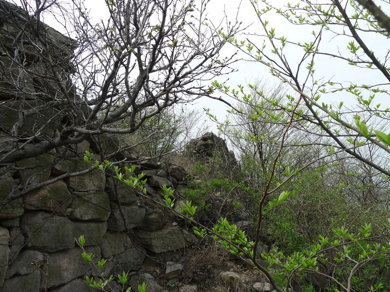 p1210759.jpg