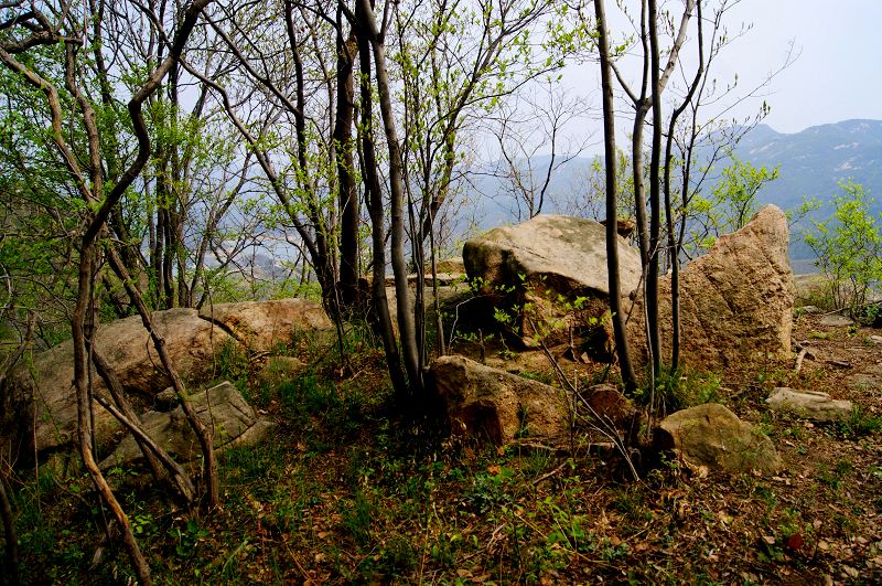 dsc08462.jpg