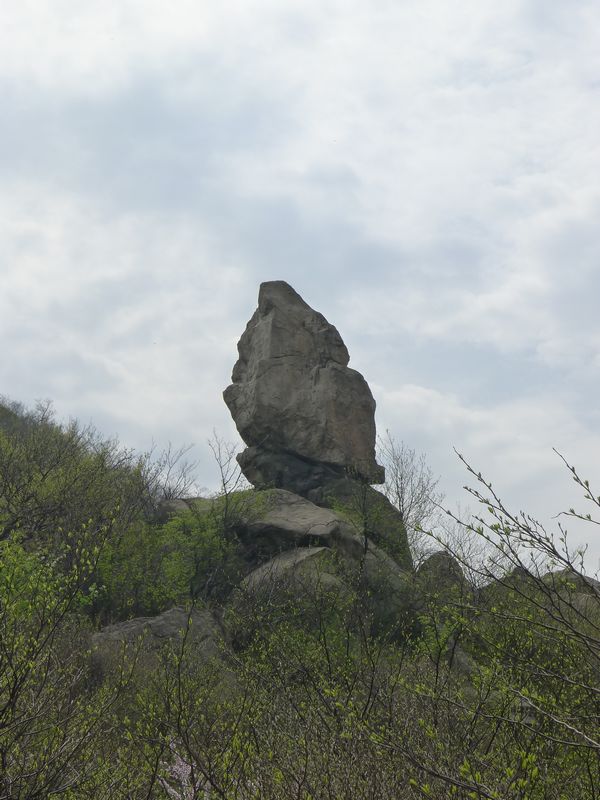 p1210777.jpg