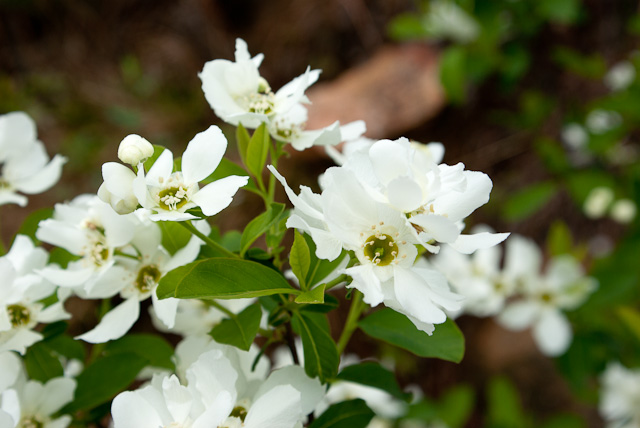 20120410-imgp6488.jpg