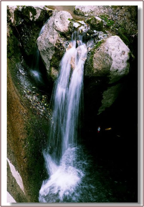 _mg_3774.jpg