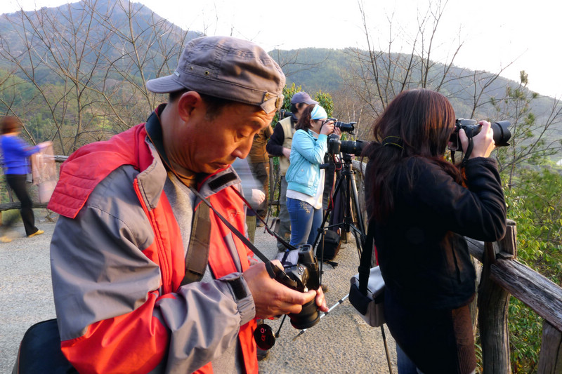 p1080822.jpg