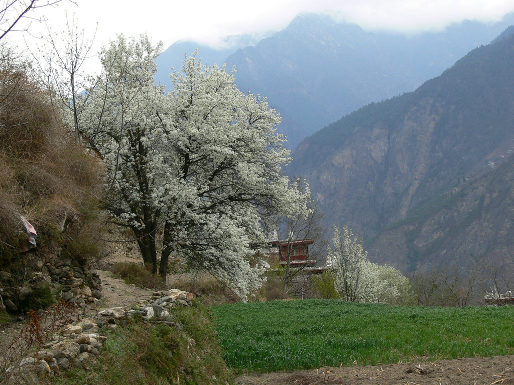 p1120423.jpg