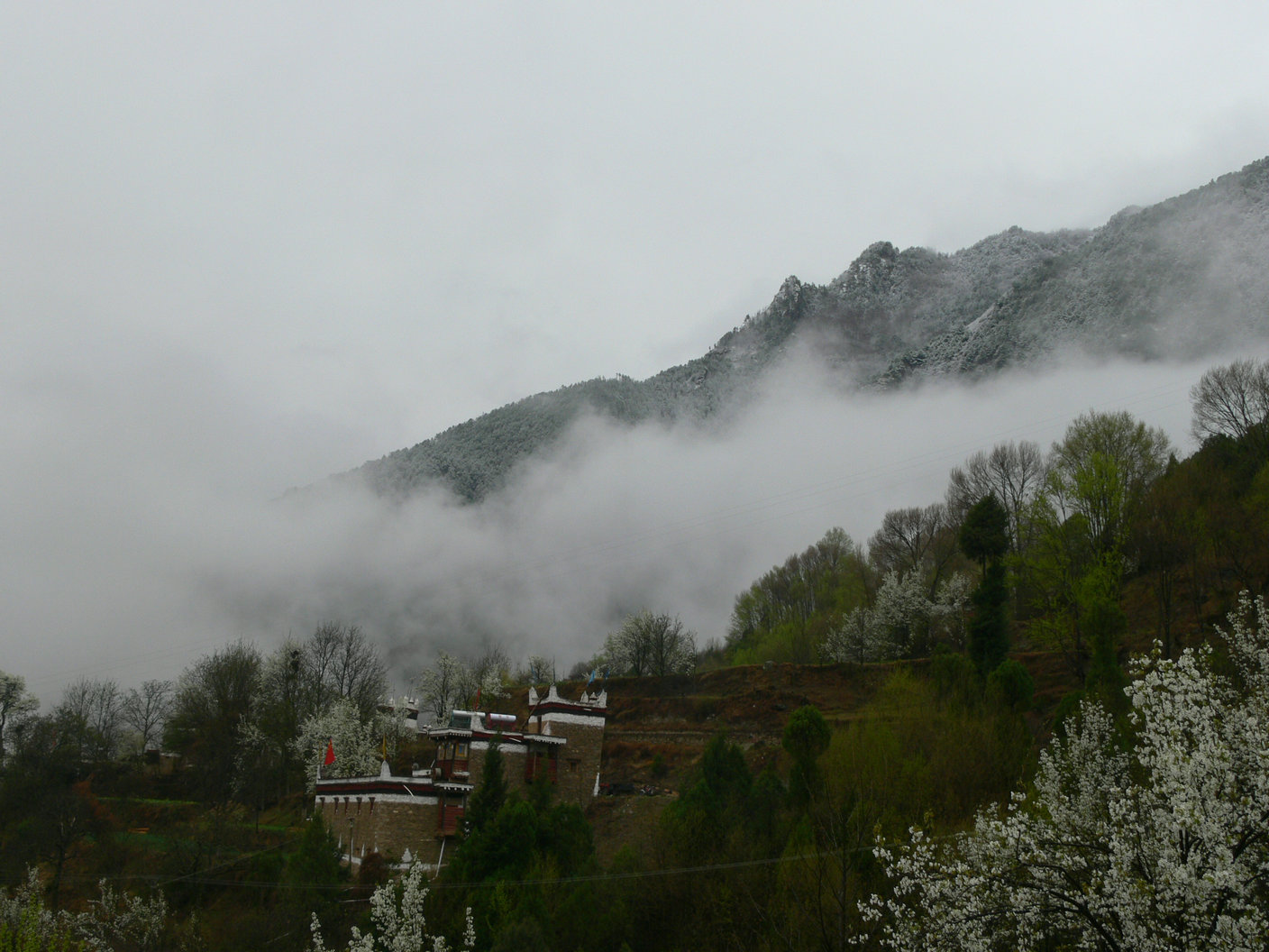 p1120710.jpg