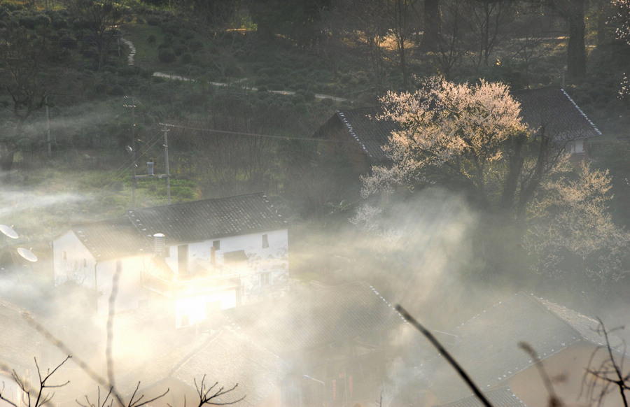 dsc_0082.jpg