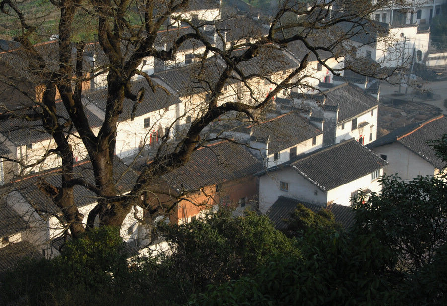 dsc_0112.jpg