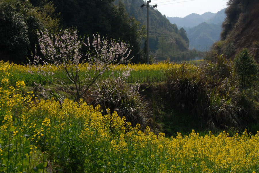 dsc_0188.jpg