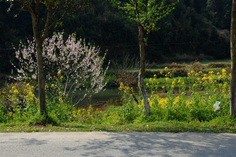 dsc_0190.jpg