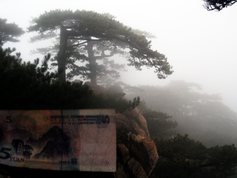 dscf0217.jpg