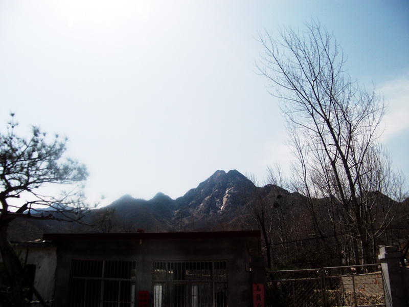 dscf0131.jpg