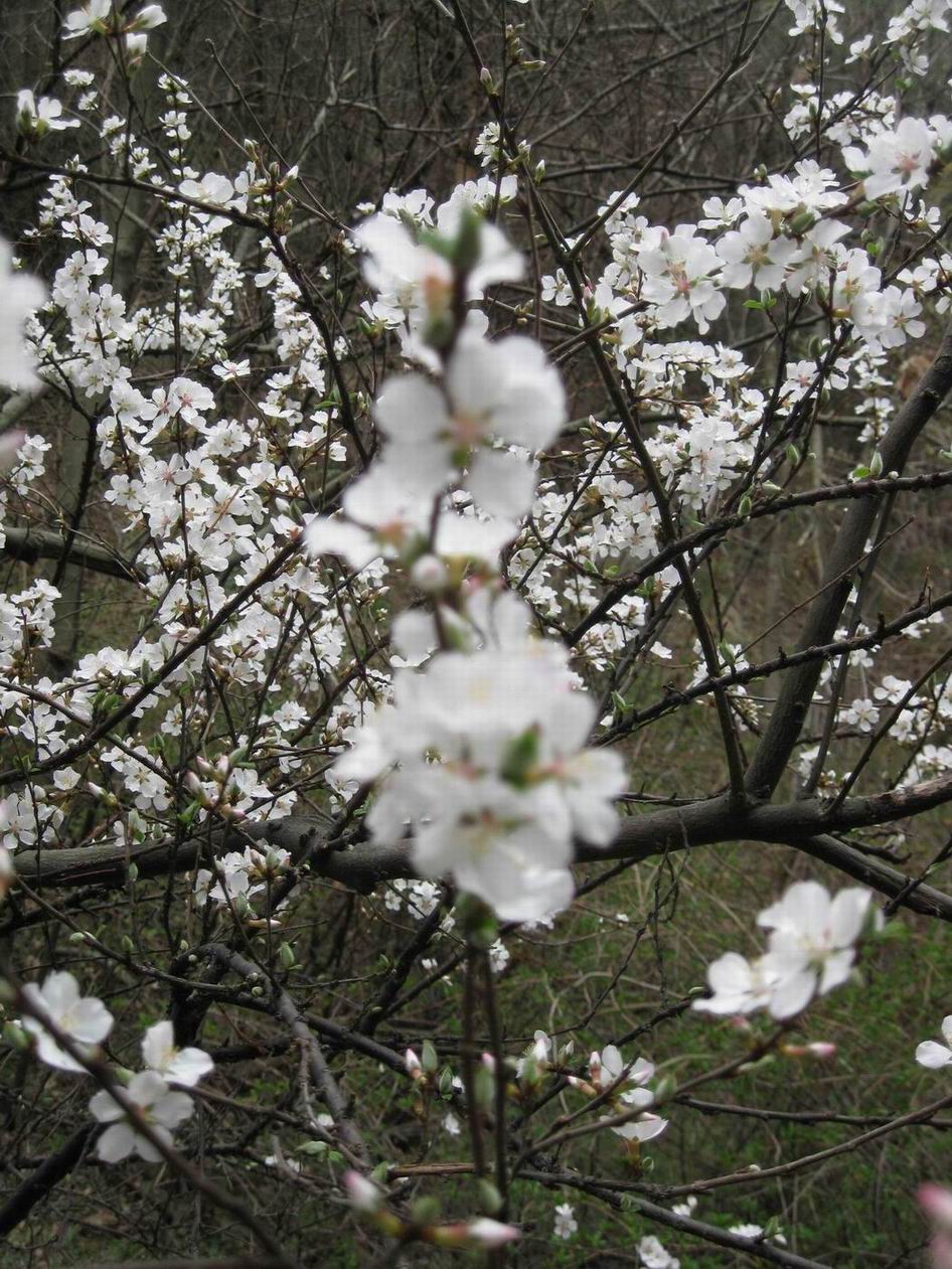 img_3158.jpg