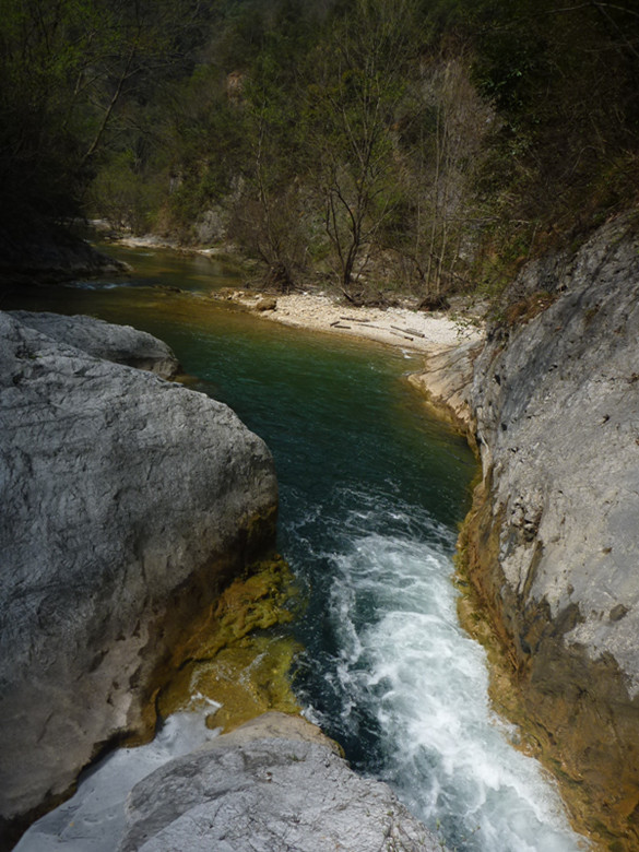 p1110152_.jpg