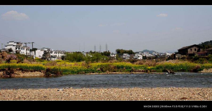 neo_img_dsc_9542.jpg