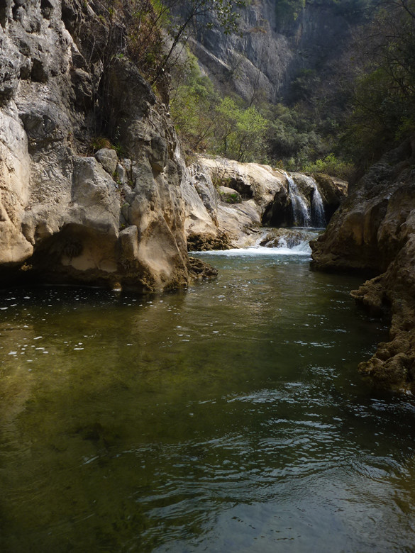 p1110153_.jpg