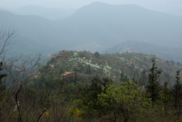20120410-imgp6503.jpg