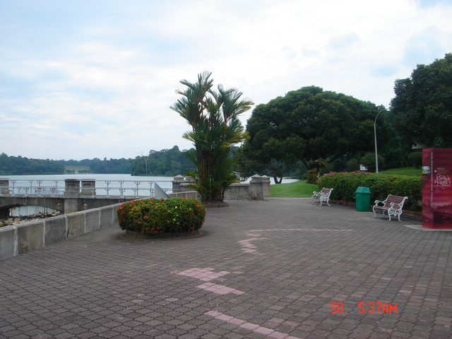 dsc09667.jpg