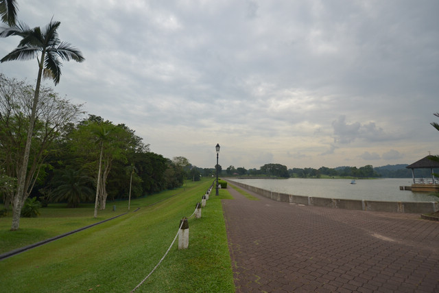 dsc_0602.jpg