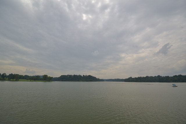 dsc_0619.jpg
