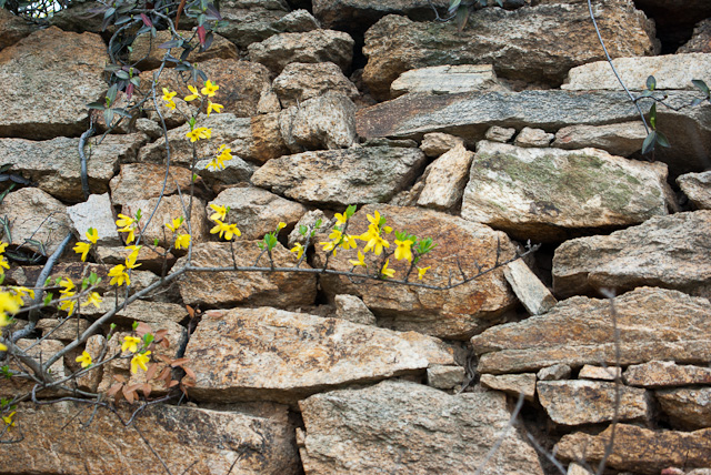 20120410-imgp6529.jpg