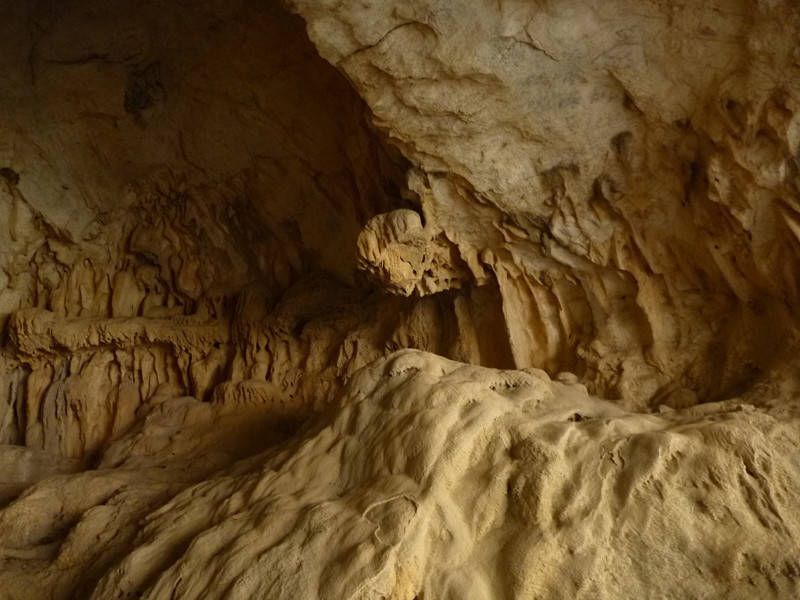 p1110156_.jpg