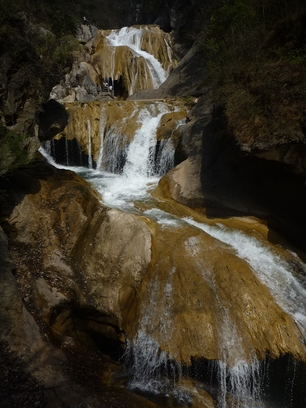 p1110168_.jpg