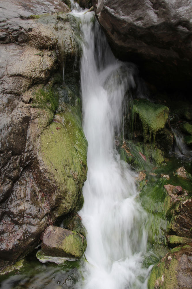 _mg_0203.jpg