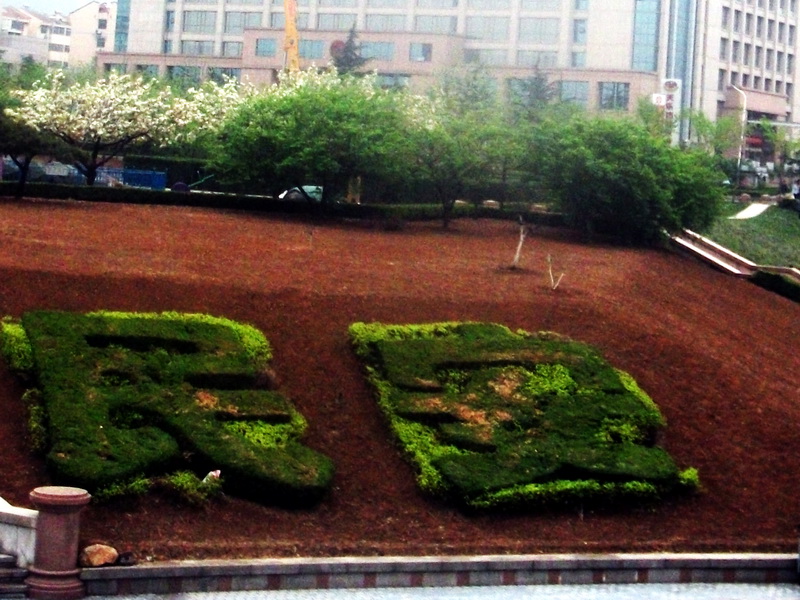 dscf0025.jpg