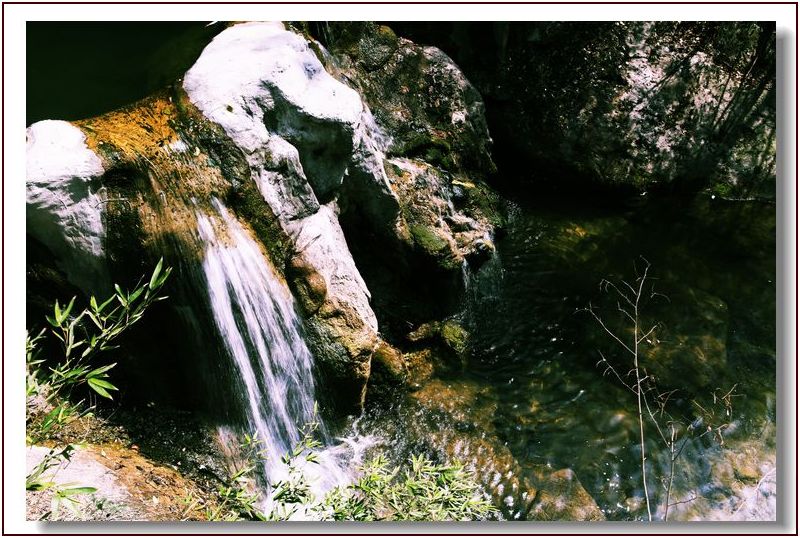 _mg_3917.jpg
