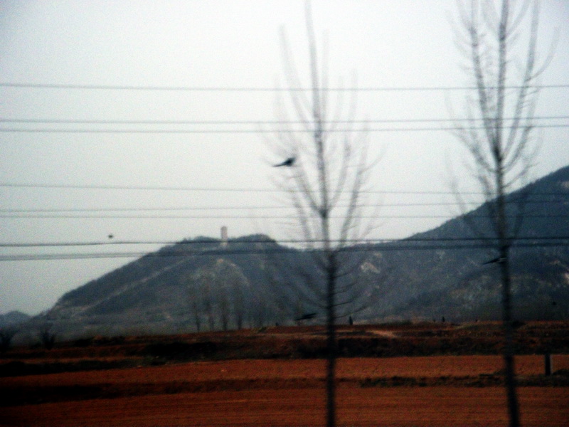 dscf0019.jpg