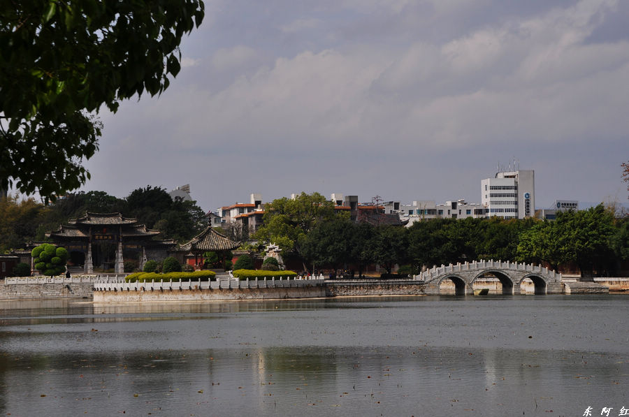 dsc_0160.jpg
