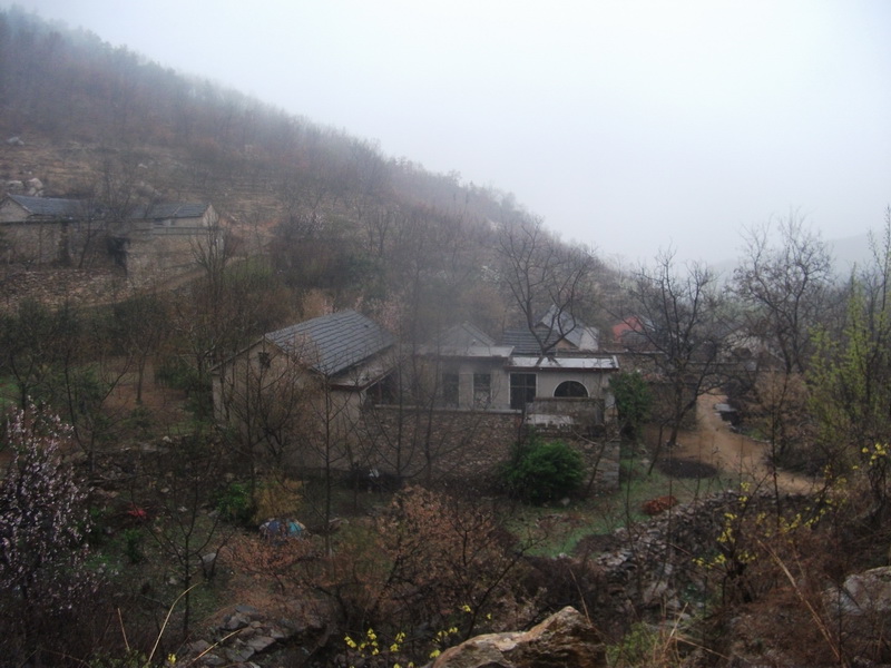 dscf0031.jpg