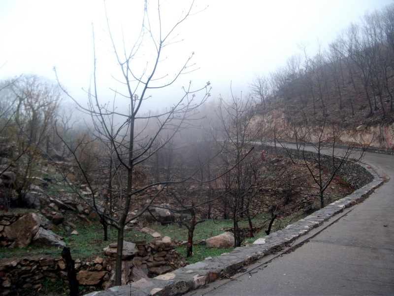 dscf0032.jpg