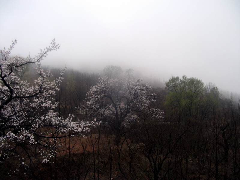 dscf0035.jpg