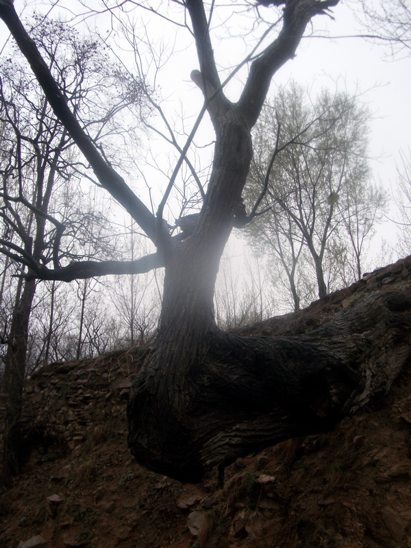 dscf0036.jpg