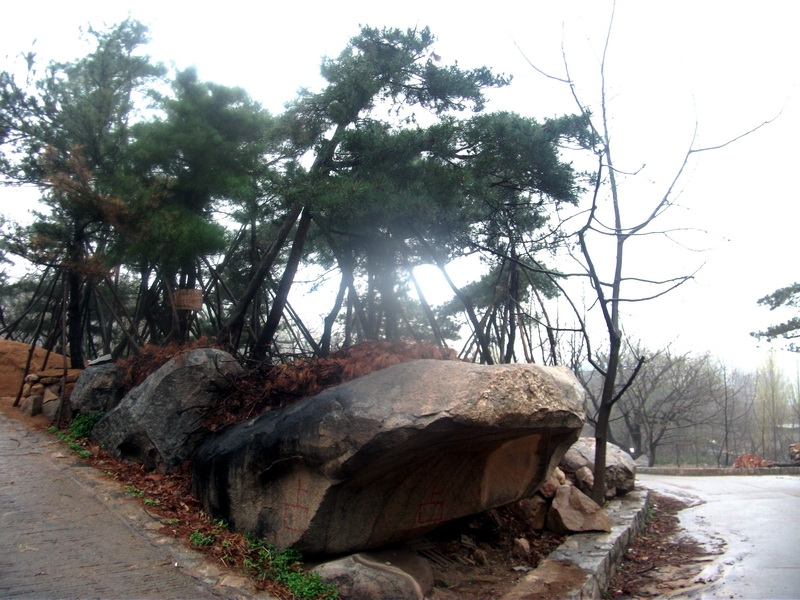 dscf0039.jpg