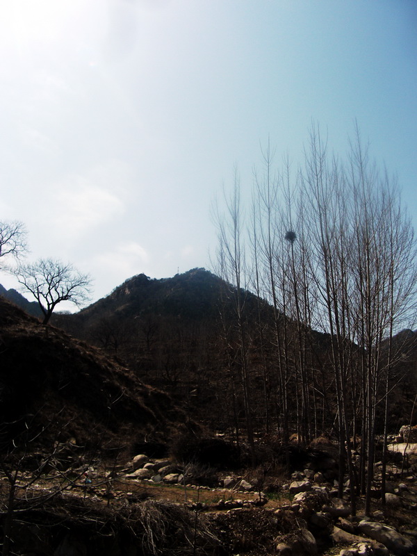 dscf0134.jpg