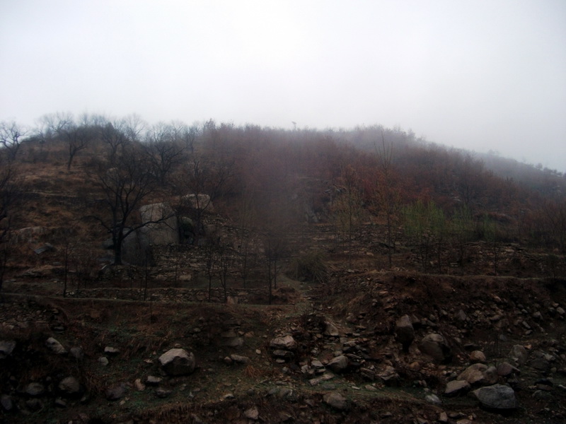 dscf0041.jpg