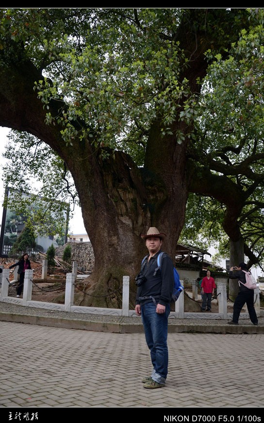 dsc_7417_conew1.jpg