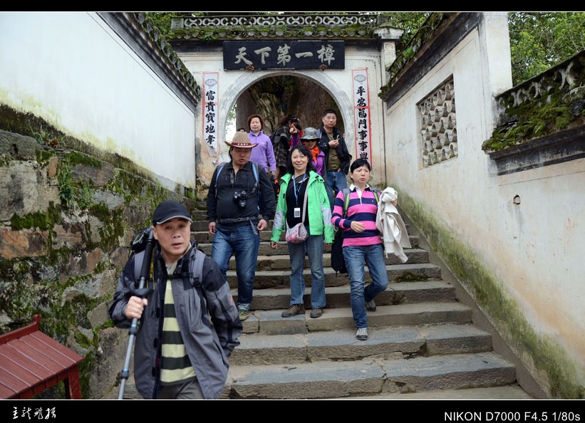 dsc_7420_conew1.jpg