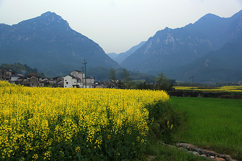 村3.jpg